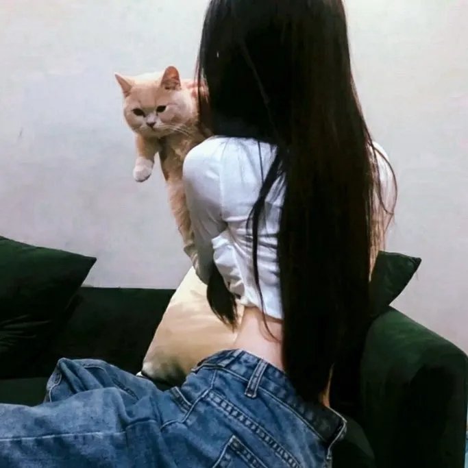 惩罚者